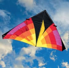 Delta kite