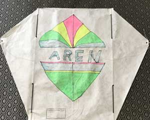 AREN Flying Frustrationless Flyer Sled Kite