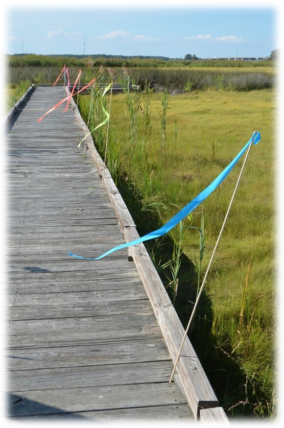March Wind Sticks blowing in the wind