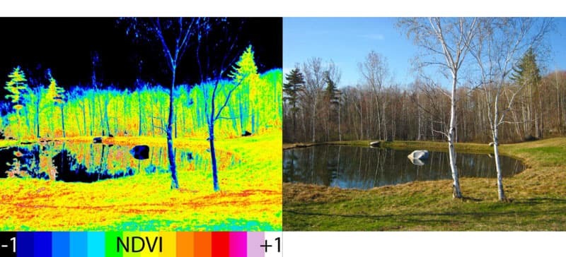 Earth Observations Vegetation Indexing 2-Up Comparison