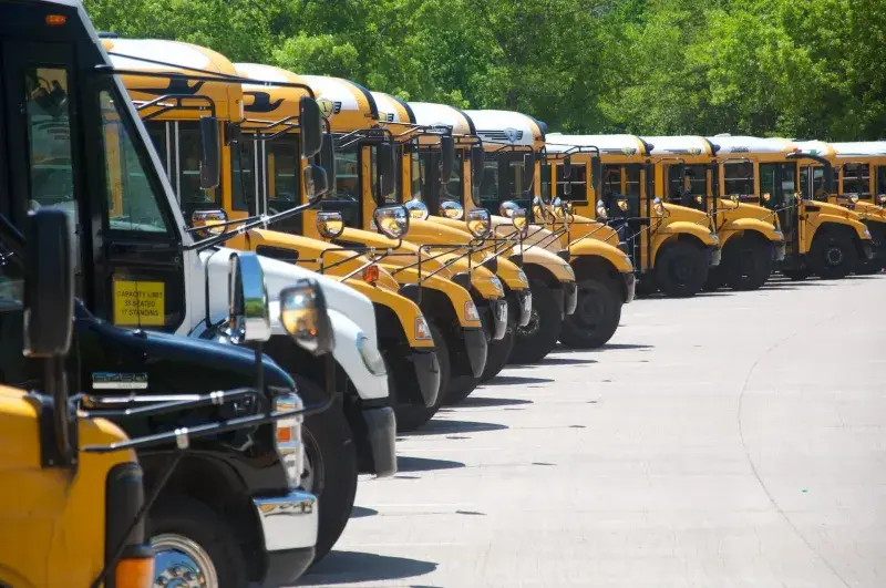 Rows and rows of school buses
